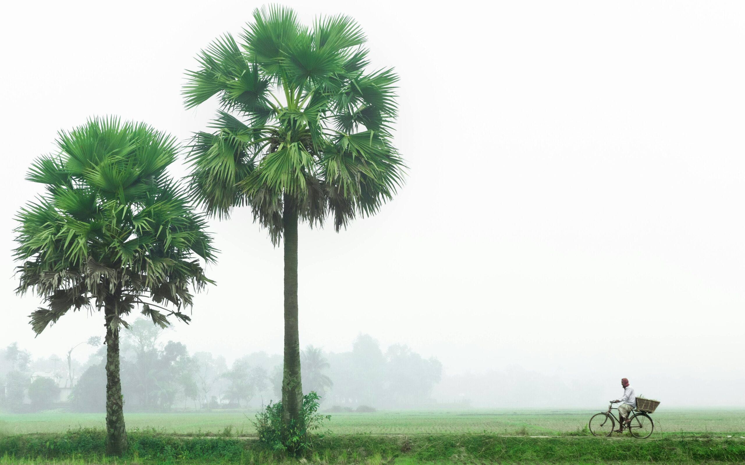 Khushi rajgarhia